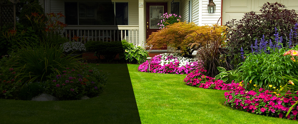 Pico Rivera Landscapers