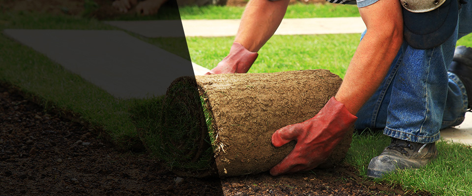 Pico Rivera Landscapers